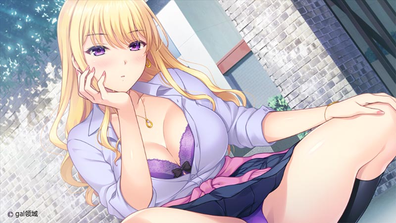 ギャル姉妹～ハーレムタイムが止まらない！～