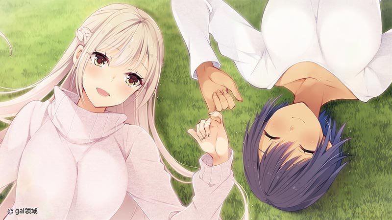 虜ノ誓 ～仲間のために身体を賭ける処女の仁義～