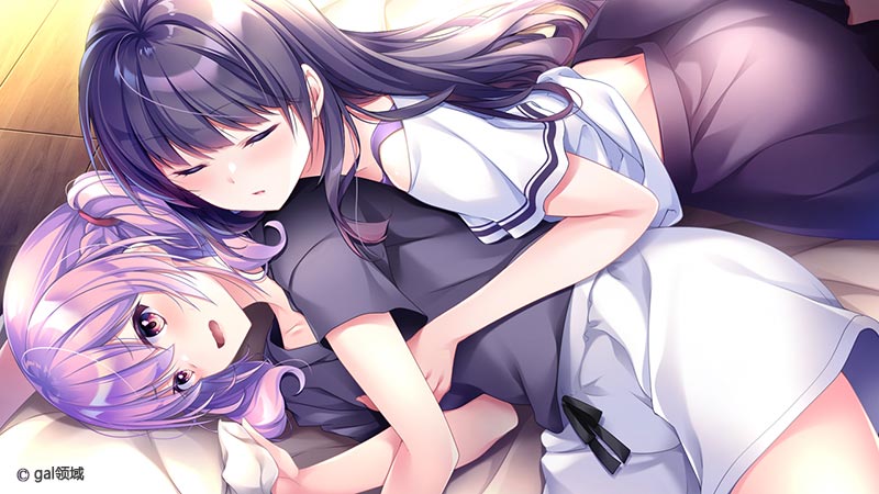 乙女の剣と秘めごとコンチェルト ROYAL EDITION