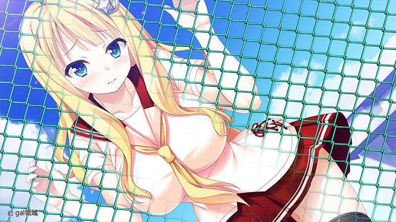 夏空あすてりずむ