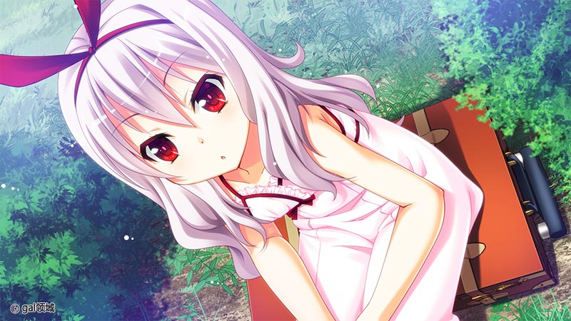 夏空あすてりずむ