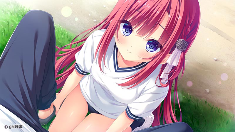 D.C.5 Future Link ～ダ・カーポ5～