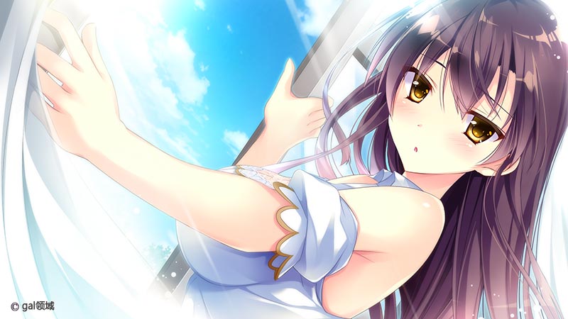 恋する気持ちのかさねかた 由希江＆一花 抱き枕カバー ミニADVゲーム