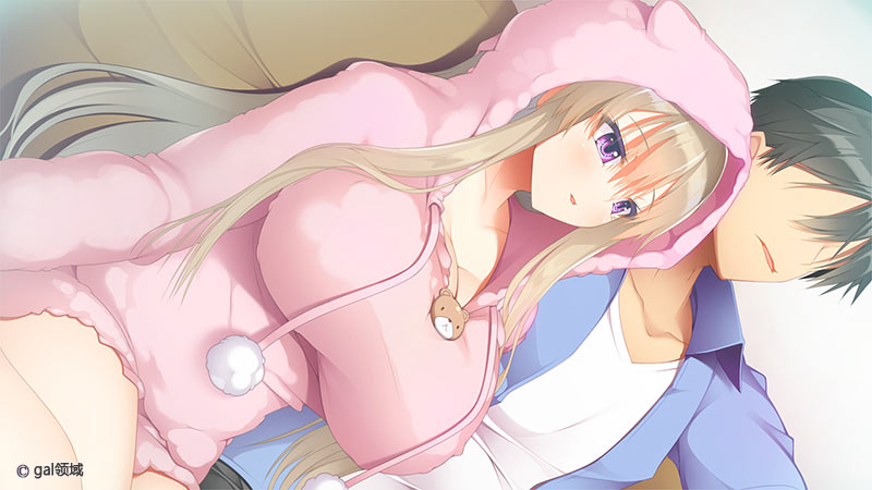 彼女(ヒロイン)は友達ですか?恋人ですか?それともトメフレですか?W