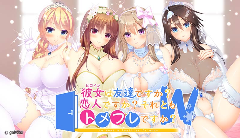 彼女(ヒロイン)は友達ですか?恋人ですか?それともトメフレですか?W