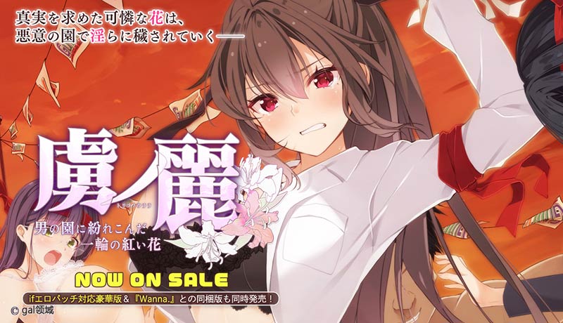 虜ノ麗 ~男の園に紛れこんだ一輪の紅い花~