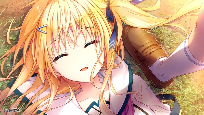 セレクトオブリージュ