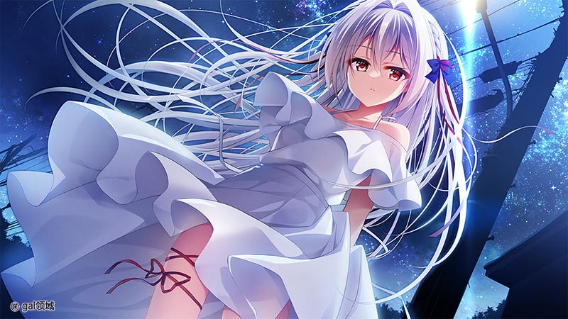 流る星 -a wish star-