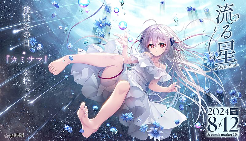 流る星 -a wish star-