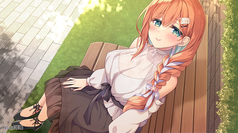 妹(姉)は兄(弟)の*癖を歪ませたい!