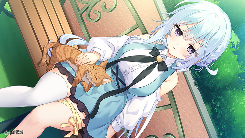 のーぶる・バトラー