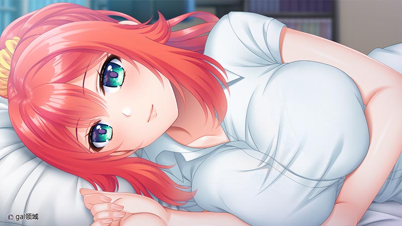 お姉ちゃんのあまエロレッスン2