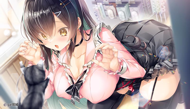 バカップル・サプリメント