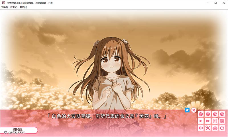 此花绽放季，与君重逢时