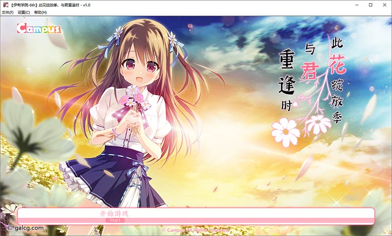 此花绽放季,与君重逢时