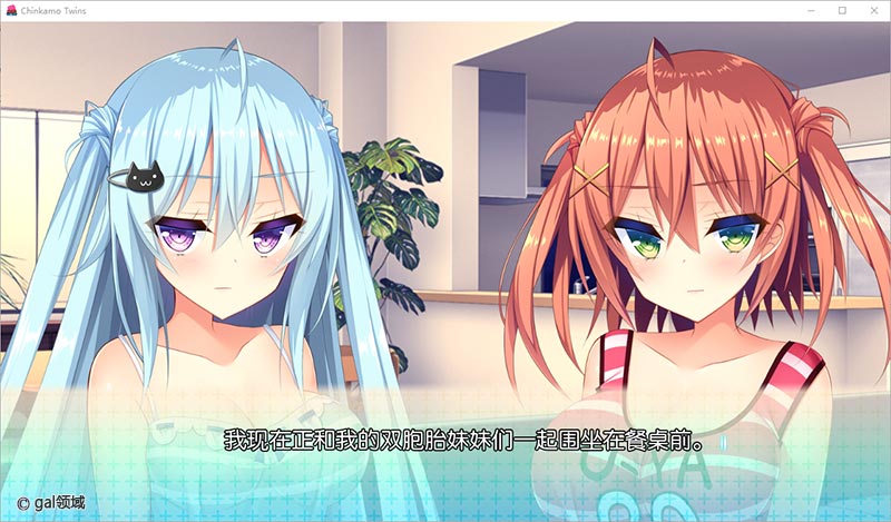 【自购】我可爱的双子妹妹