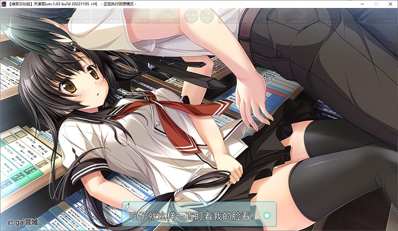 天津罪(HS全汉化)