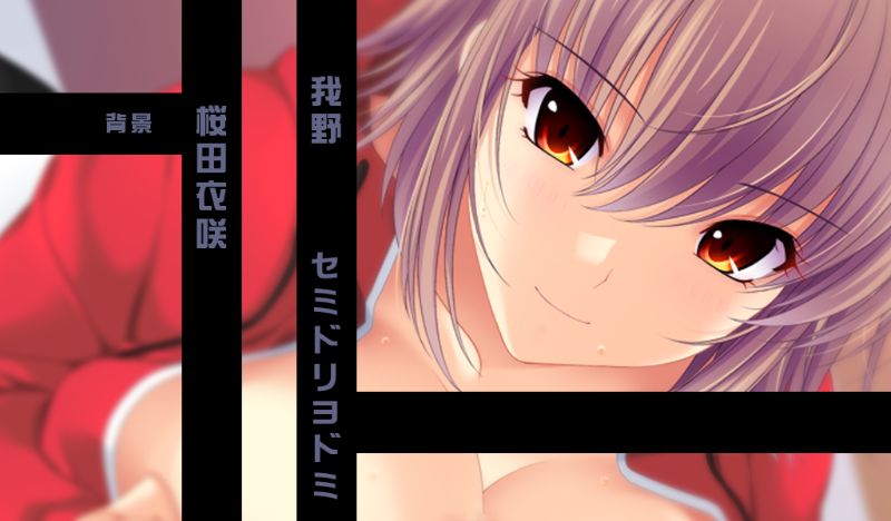 お姉さん先生 ～補習授業のエッチな先生